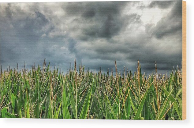 Clouds Wood Print featuring the photograph Storm is a Brewin' by Jame Hayes