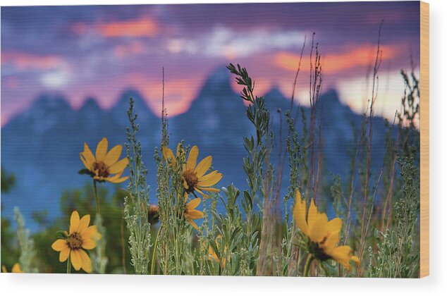 Grand Wood Print featuring the photograph Summer Evening in Antelope Flats by Chris Allington