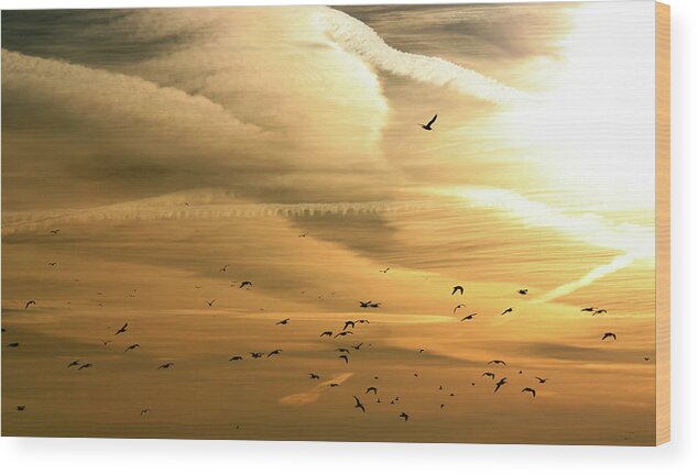 Scenics Wood Print featuring the photograph Sunrise Birds by Micheldenijs
