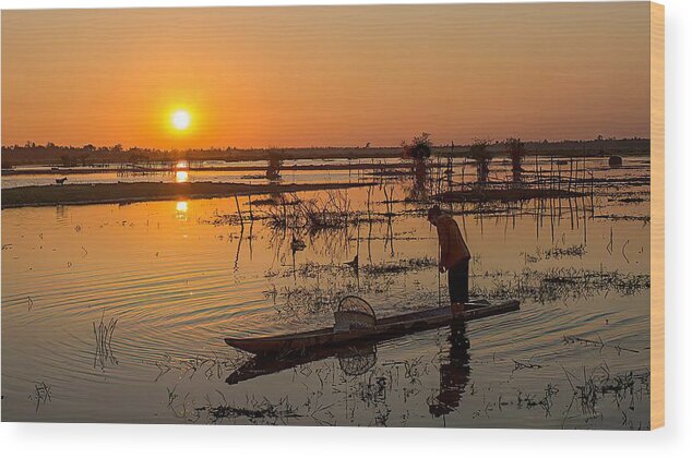 Sunrise Wood Print featuring the photograph Sunrise Over The Swamp Of Xe Pian by Alberti Patrick