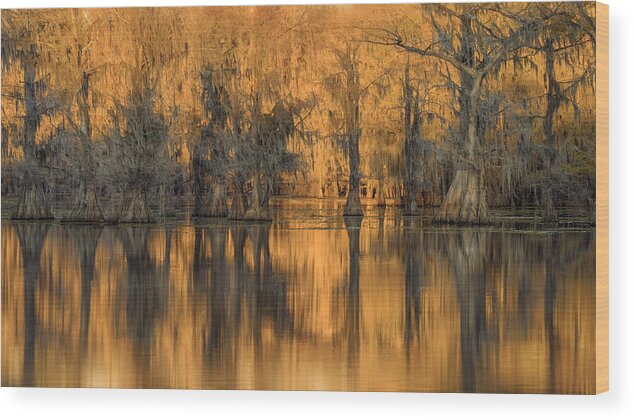 Cypress Wood Print featuring the photograph Sunset At Caddo Lake by Qing Zhao