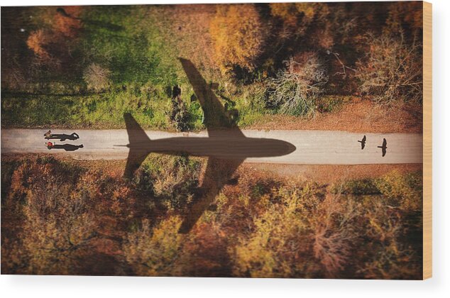 Flight Wood Print featuring the photograph Tehran To Kyiv (ukraine International Airlines Flight Ps752 Tragedy) by Saeed Keramati