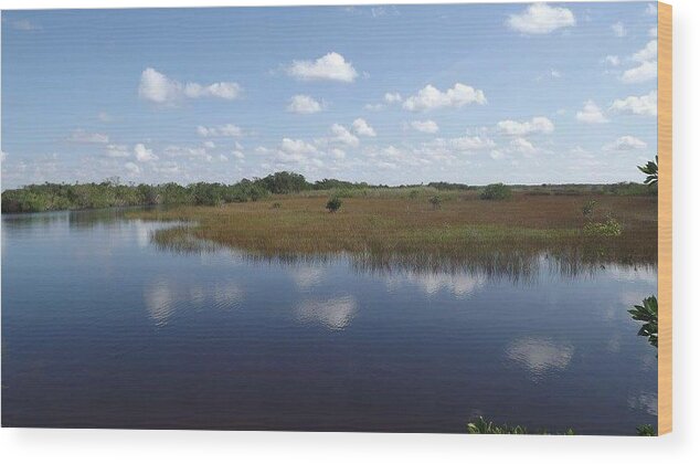 Florida Wood Print featuring the photograph The Everglades by Lindsey Floyd