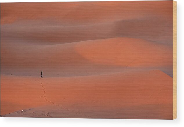 Dunes Wood Print featuring the photograph Tracks In The Dunes by Peter Hammer