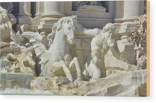 Aqueducts Wood Print featuring the photograph Triton And Steed by JAMART Photography