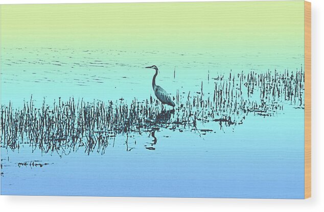 Bird Waiting For A Fish Wood Print featuring the digital art Waiting for Lunch by Ally White
