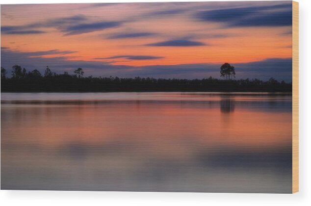 Florida Wood Print featuring the photograph Whimsy by Mike Lang