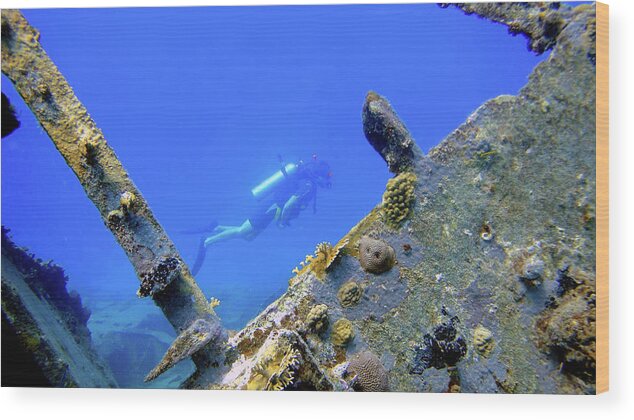 Scuba Wood Print featuring the photograph Wreck Framed by Climate Change VI - Sales
