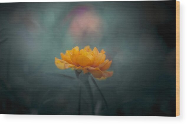 Macro Wood Print featuring the photograph Yellow by Sabriamin M