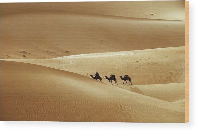 Desert Wood Print featuring the photograph Camel caravan in desert sand dunes #1 by Mikhail Kokhanchikov