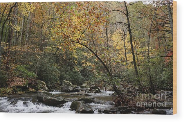 Mountains Wood Print featuring the photograph Jacobs Creek #8 by Groover Studios