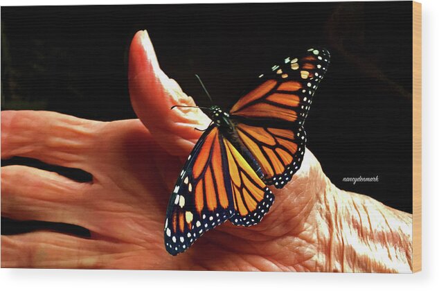 Monarch Wood Print featuring the photograph Life Journey #1 by Nancy Denmark