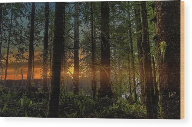 Oregon Coastal Forest Wood Print featuring the photograph Morning Joy #1 by Bill Posner
