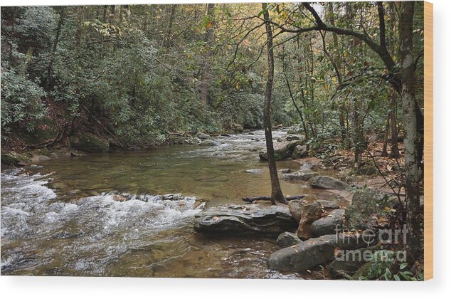 #mountain #river #streams #rocks #water #leaves #seasons #parks #fish #trout #creeks #hills #trees #branch #fineartamerica #photography #images #prints #art #wallart #artist #artwork #homedecoration #framed #acrylic #homedecor #posters #coffeemug #canvasprints #fineartamericaartist #greetingcards #mug #homedecorating #phonecases #tapestries #gregweissphotographyart #grooverstudios Wood Print featuring the photograph Jacobs Creek #4 by Groover Studios