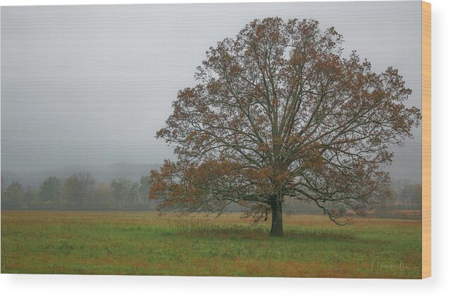 Art Prints Wood Print featuring the photograph Cades Cove 2 by Nunweiler Photography