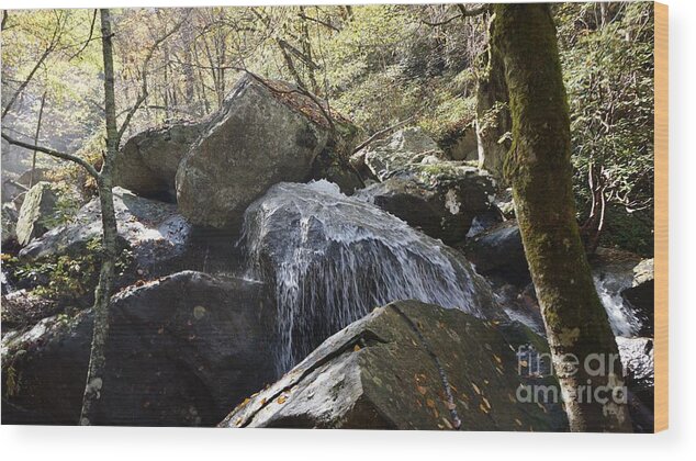 #mountain #river #streams #rocks #water #leaves #seasons #parks #fish #trout #creeks #hills #trees #branch #fineartamerica #photography #images #prints #art #wallart #artist #artwork #homedecoration #framed #acrylic #homedecor #posters #coffeemug #canvasprints #fineartamericaartist #greetingcards #mug #homedecorating #phonecases #tapestries #gregweissphotographyart #grooverstudios Wood Print featuring the photograph High Shoal Falls #4 by Groover Studios