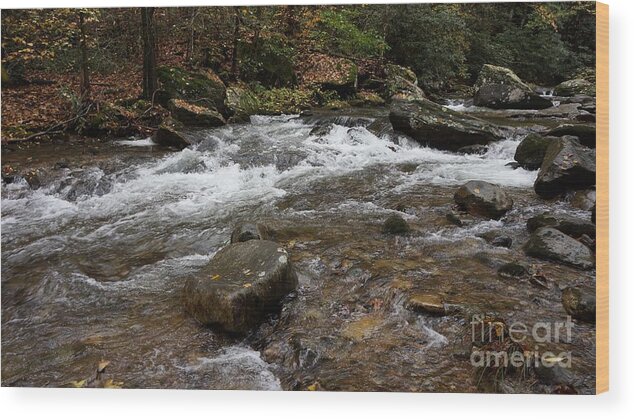  Wood Print featuring the photograph Jacobs Creek #7 by Groover Studios