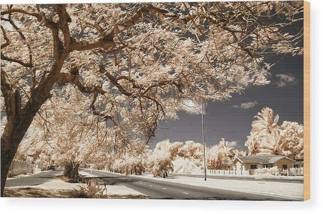 Infrared Photography Wood Print featuring the photograph 3 Lanes of Serenity by Gian Smith