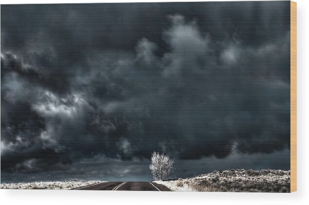 Cottonwood Wood Print featuring the photograph A Storm at Cottonwood End by Wayne King