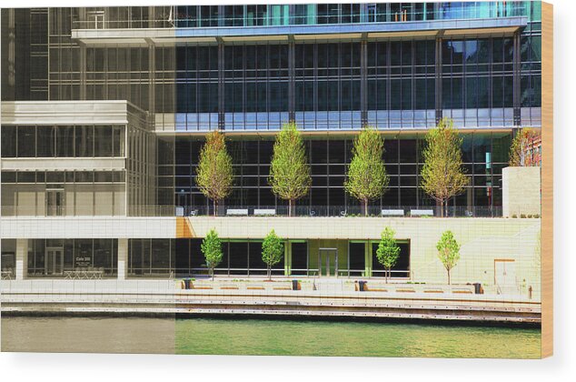 Architecture Wood Print featuring the photograph Architecture Trees Water Chicago River by Patrick Malon