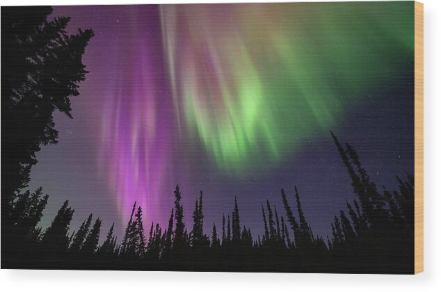 Aurora Wood Print featuring the photograph Aurora Purple Haze 2 by William Kennedy