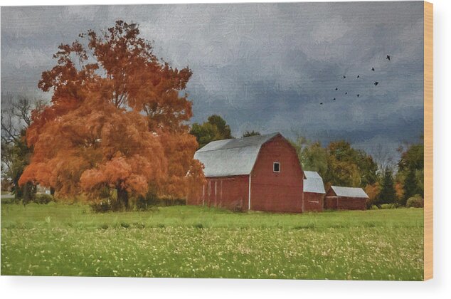 Farm Wood Print featuring the photograph Autumn At The Farm by Cathy Kovarik