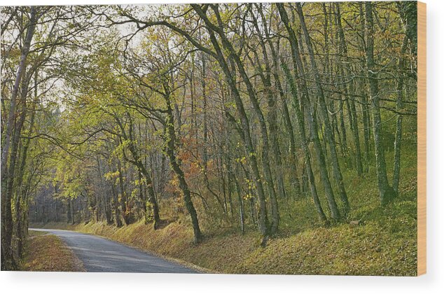 Landscape Wood Print featuring the photograph Autumn colors by Karine GADRE