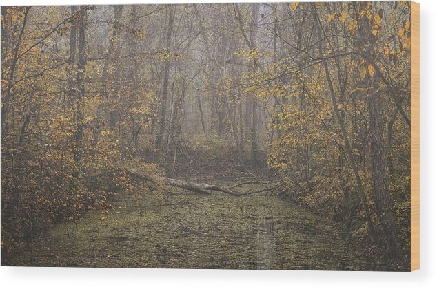 Maryland Wood Print featuring the photograph Autumn Morning 6 by Robert Fawcett