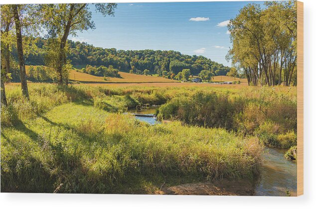 Autmn Wood Print featuring the photograph Autumn Spring Creek by Mark Mille