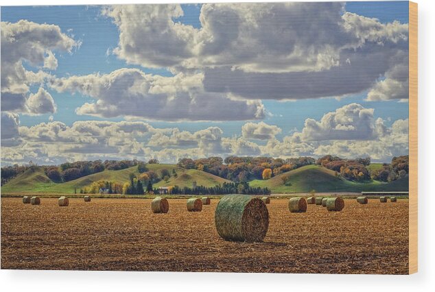 Landscape Wood Print featuring the photograph Autumn Valley Bales by Bruce Morrison