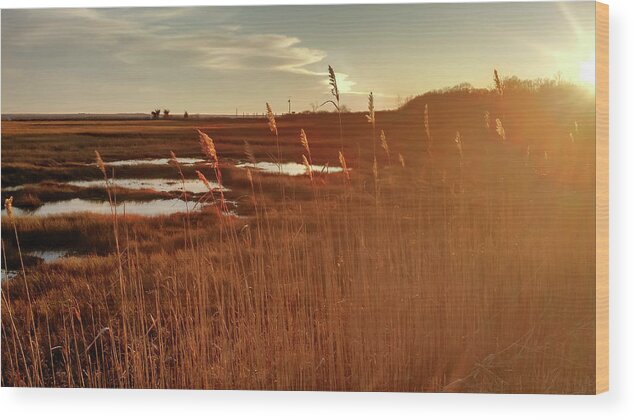 Pawcatuck Wood Print featuring the photograph Barn Island Golden Sunset - Pawcatuck CT by Kirkodd Photography Of New England