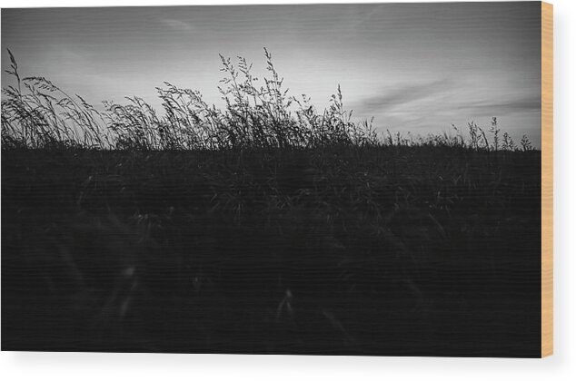 Sand Dunes Wood Print featuring the photograph Beachgrass Sunset Black and White by Pelo Blanco Photo
