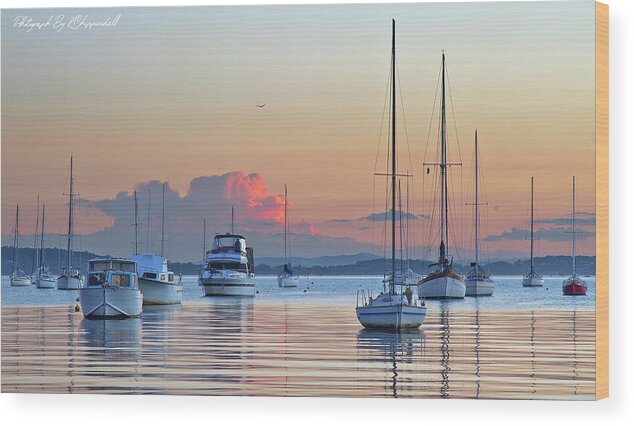Belmont Sunset Wood Print featuring the digital art Belmont Sunset 992 by Kevin Chippindall