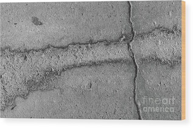 Cracked Pavement Wood Print featuring the photograph Black and White Series 1-3 by J Doyne Miller