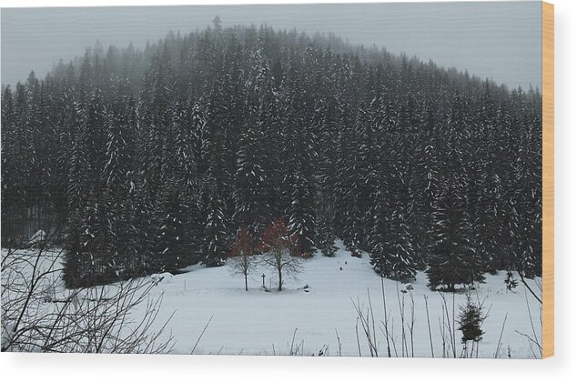 Blasiwald Wood Print featuring the photograph Blasiwald tranquility by Ioannis Konstas