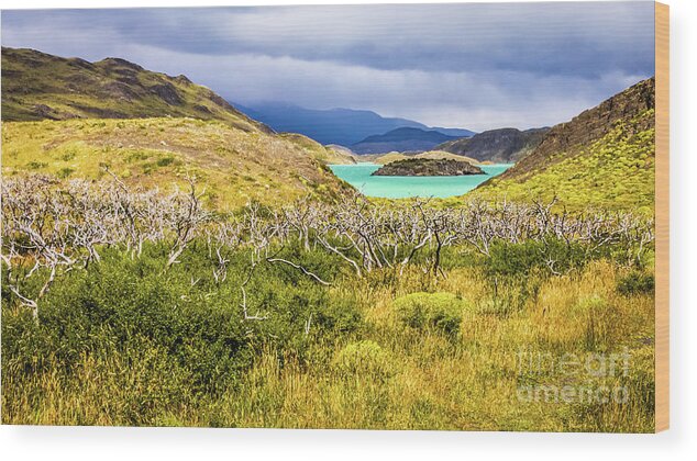 Torres Del Paine Wood Print featuring the photograph Blue lagoon in Torres del Paine, Chile by Lyl Dil Creations