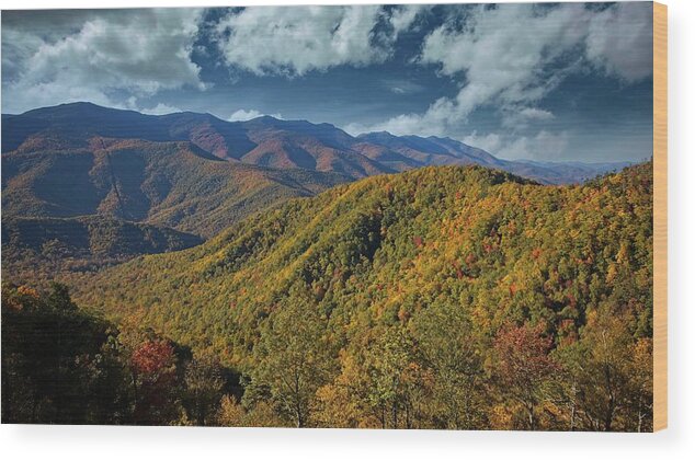 Autumn Wood Print featuring the photograph Blue Ridge Autumn Color by Ronald Lutz