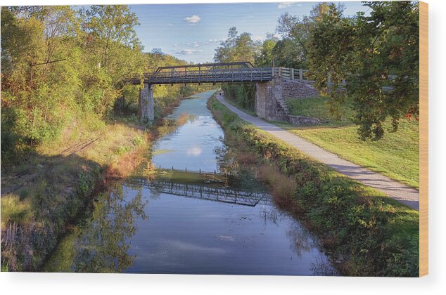 Bollman Truss Bridge Wood Print featuring the photograph Bollman Iron Truss Bridge - Williamsport by Susan Rissi Tregoning