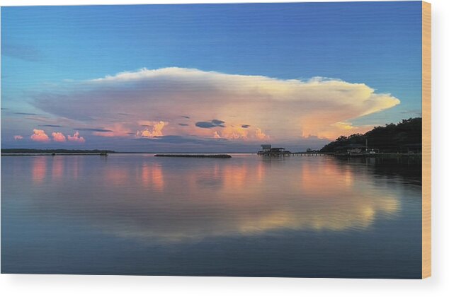 St. Johns River Wood Print featuring the photograph Boom Shroom by Randall Allen
