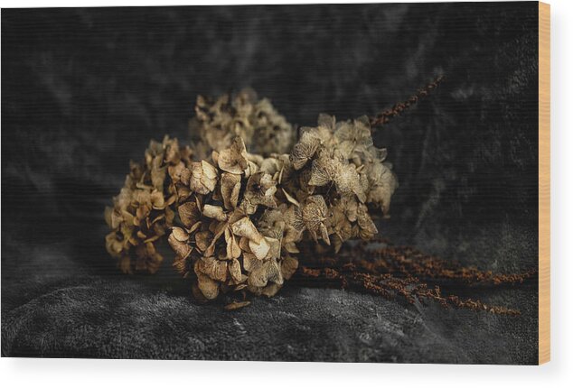 Bouguet Wood Print featuring the photograph Bouquet of dried hydrangea flowers by MPhotographer