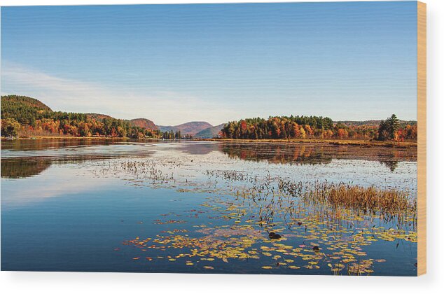 Adirondack Wood Print featuring the photograph Brant Lake Adirondack by Louis Dallara