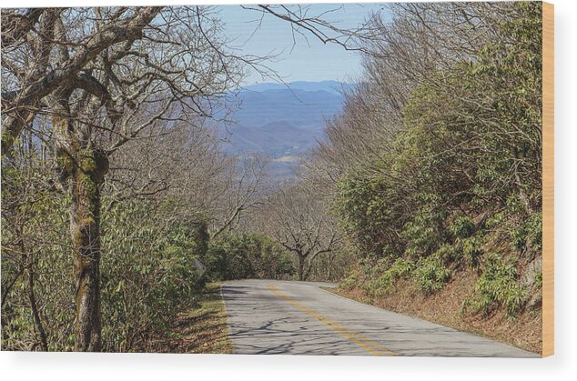 Brasstown Bald Wood Print featuring the photograph Brasstown Bald Downhill by Ed Williams