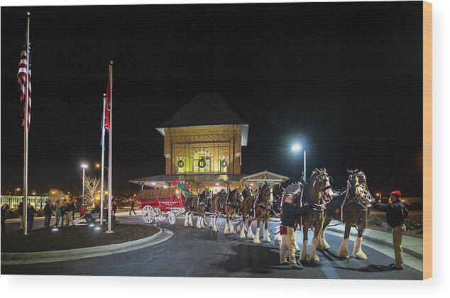 2019 Wood Print featuring the photograph Budweiser Clydesdales at the Bristol Train Station by Greg Booher