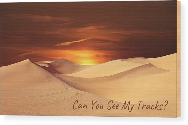 Sand Wood Print featuring the photograph Can You See My Tracks? by Nancy Ayanna Wyatt