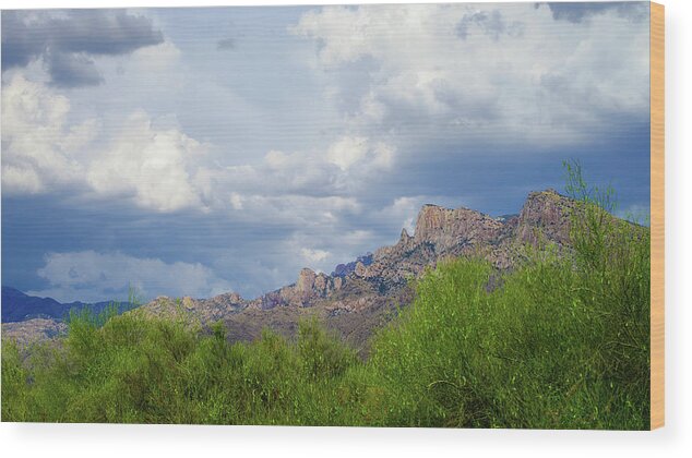 Arizona Wood Print featuring the photograph Catalina Monsoon 25108 by Mark Myhaver