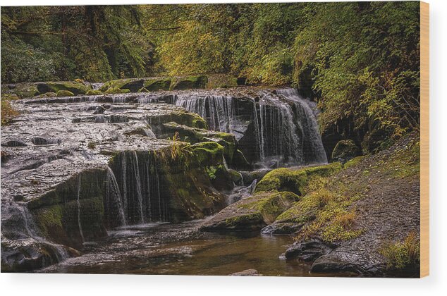 Oregon Coastal Forest Wood Print featuring the photograph Cliff Falls by Bill Posner