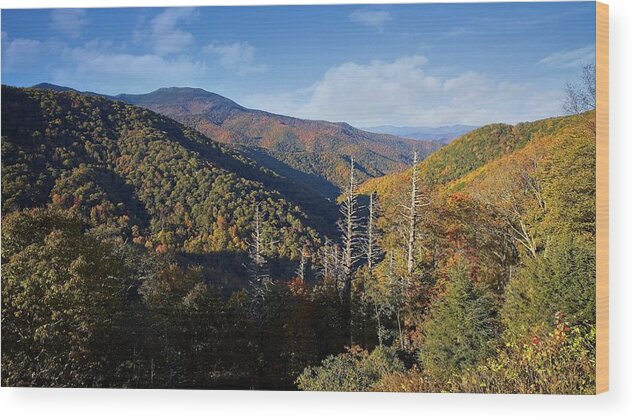 Autumn Wood Print featuring the photograph Colorful Autumn in the Blue Ridge Mountains by Ronald Lutz