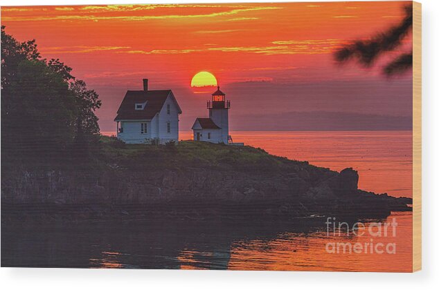 Sun Wood Print featuring the photograph Curtis Island Sunrise by Sean Mills