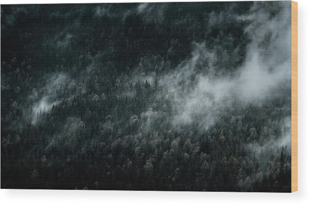 Fog Wood Print featuring the photograph Dark Foggy Forests by Nicklas Gustafsson