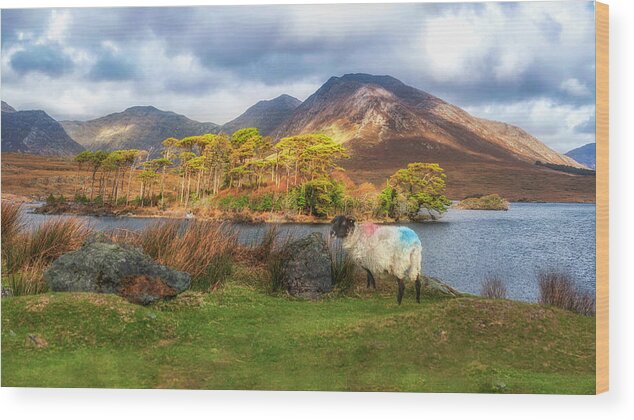 Derryclare Lough Wood Print featuring the photograph Derryclare Lough Ireland by Rob Hemphill